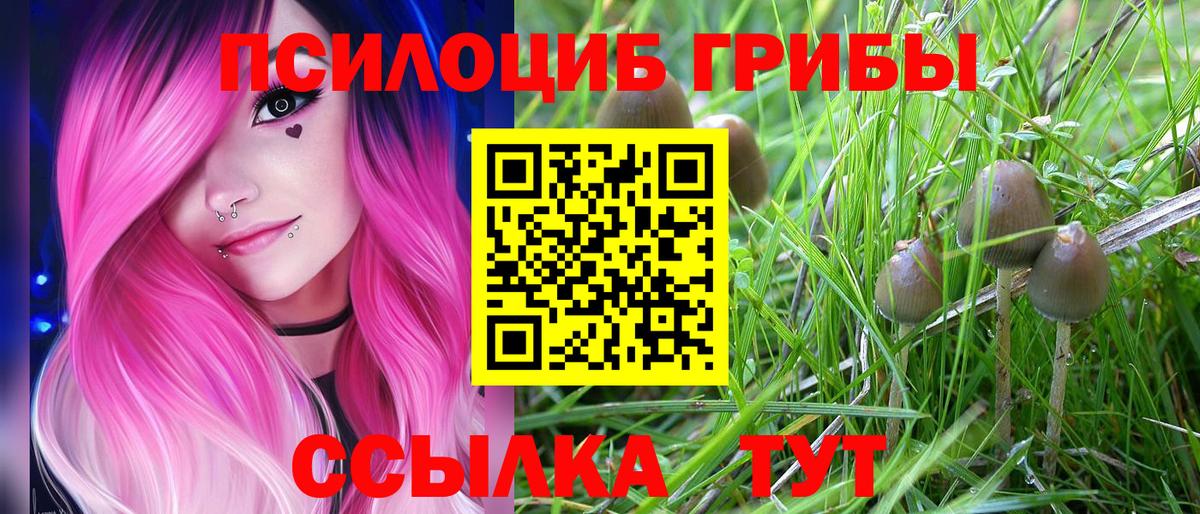 Псилоцибиновые грибы Magic Shrooms Старая Русса